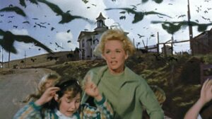 Film Thebirds
