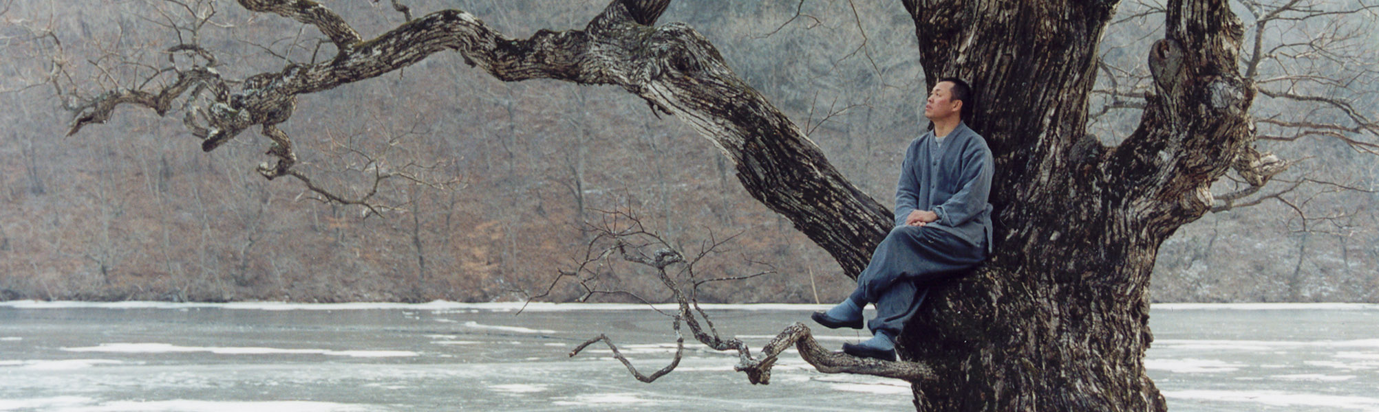 Kim Ki Duk Maestro Dellanim