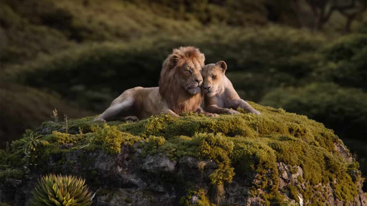 Mufasa Il Re Leone Il Live A