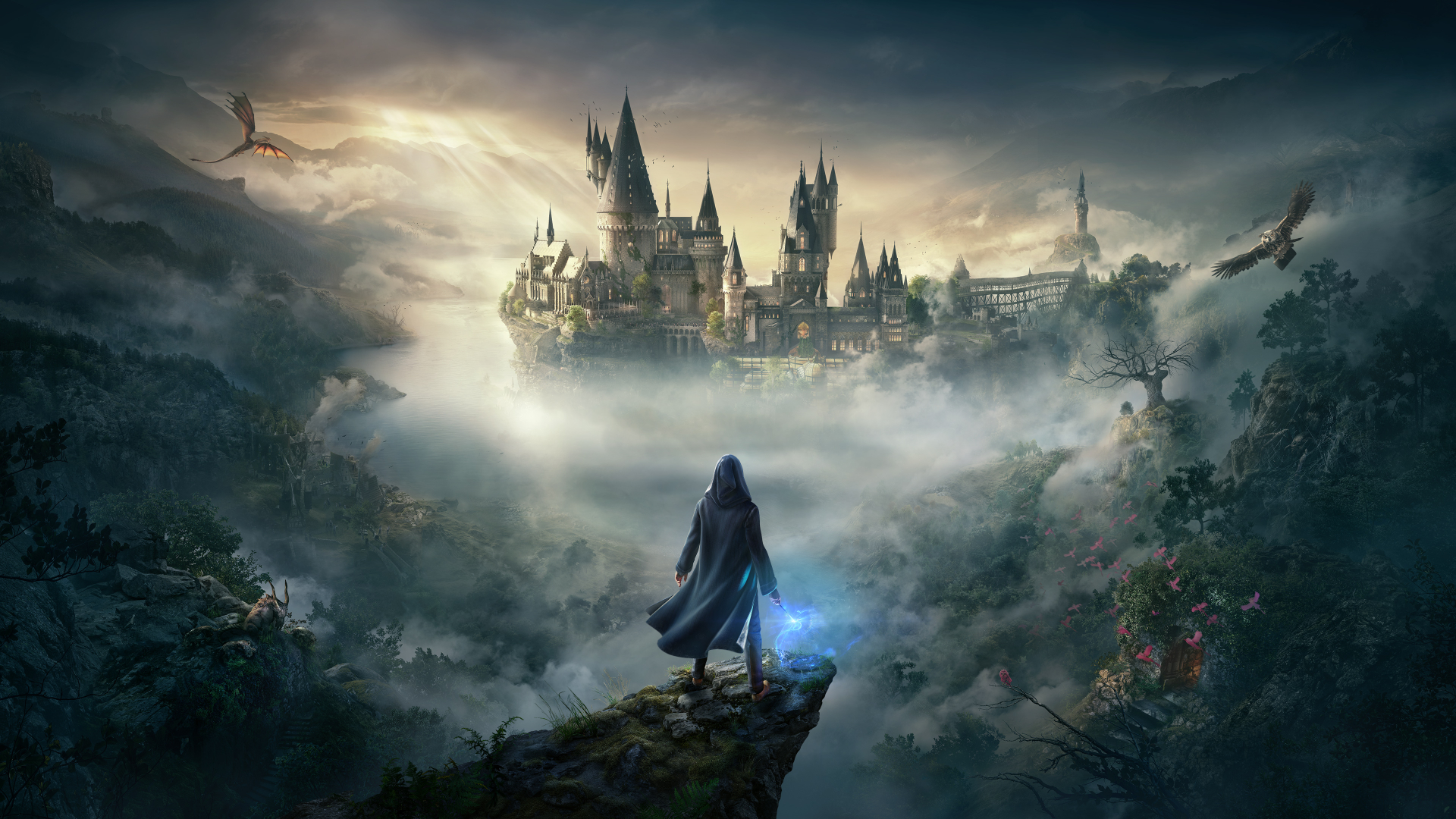 Hogwarts Legacy Le novita del