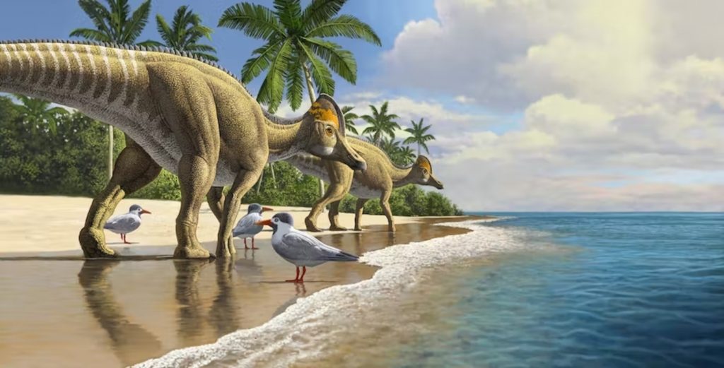 Il valore educativo dei dinosa