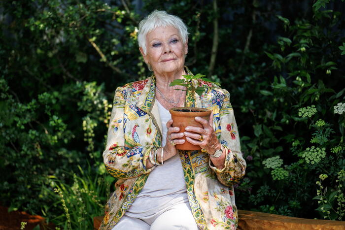 Judi Dench Annuncia Di Aver Pe