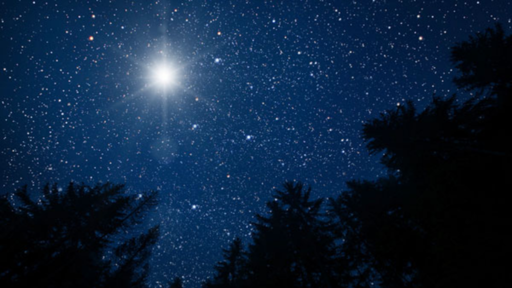 Una Nova Nella Costellazione D