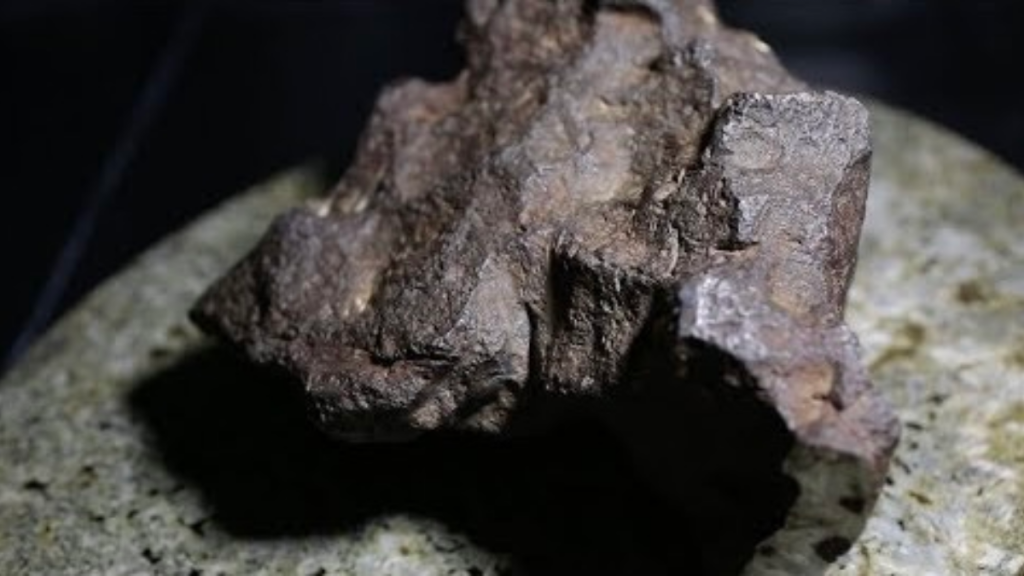 22Un Raro Meteorite Diventa Il