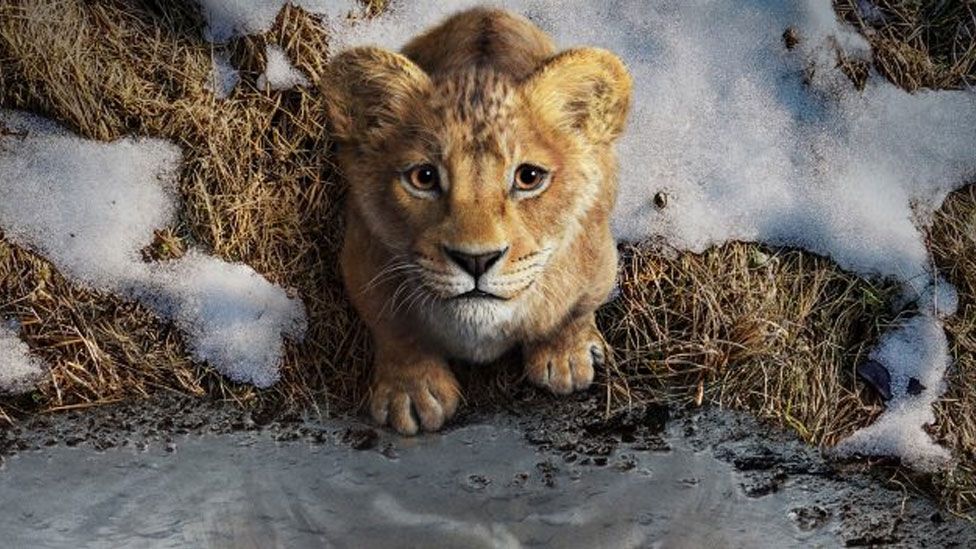 Il Re Leone 30 Anni Di Emozio