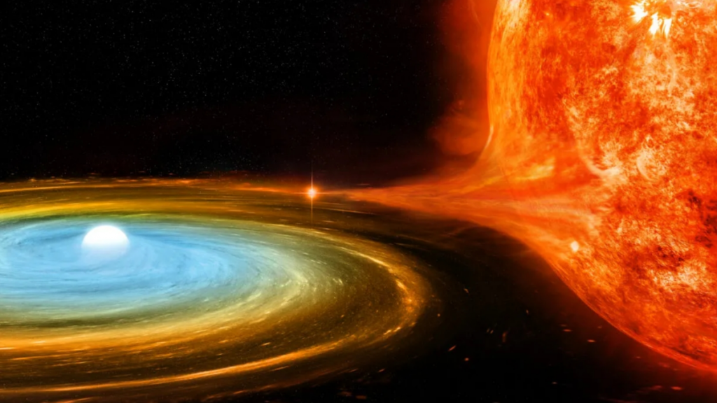 Una Nova Simbiotica Il Caso D