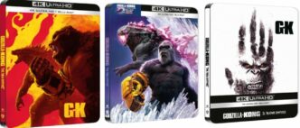 22Godzilla E Kong Il Nuovo Im
