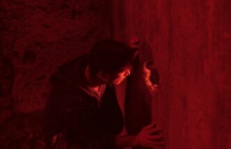 La scoperta dei CovI nella NAP