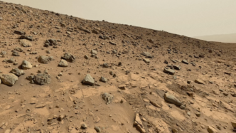 Rover Nasa Rileva Rocce Di Zol