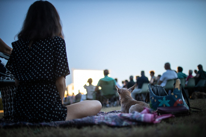 Un Festival Unico Il Ritorno