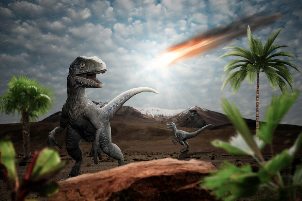 Asteroidi e lEstinzione dei D