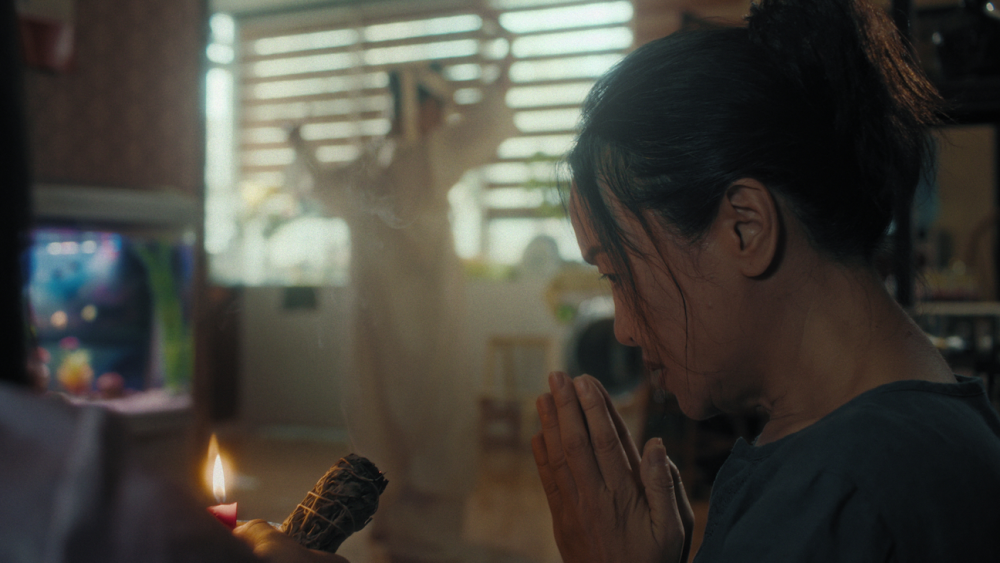 Cinema Vietnamita Nuove Voci