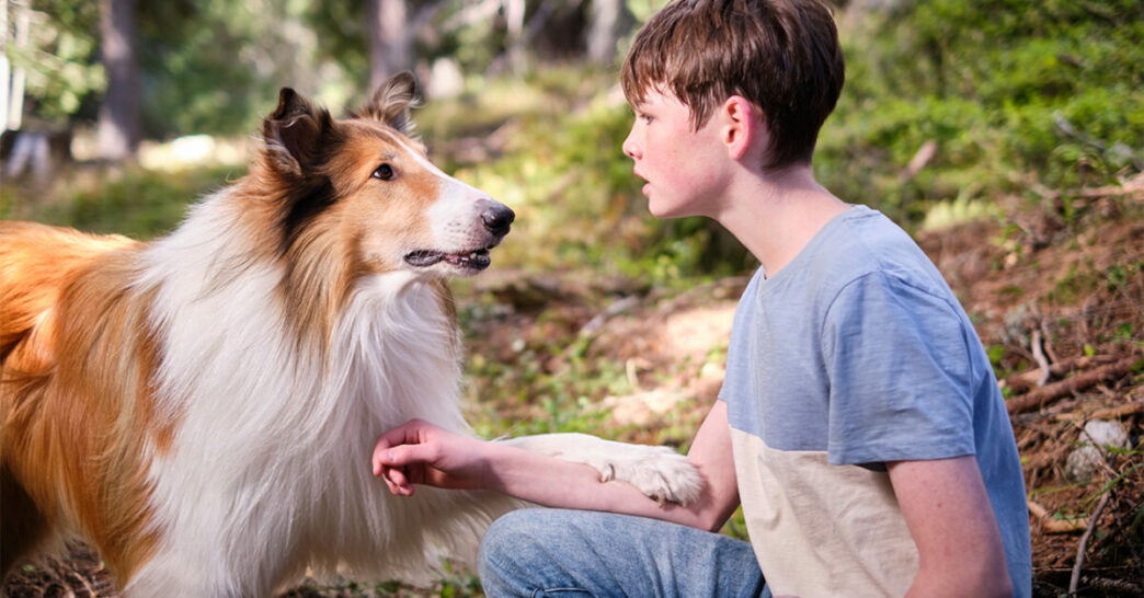 22Lassie Una Nuova Avventura22