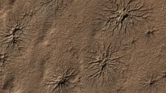 22RAGNI MARZIANI22 IL FASCINO D