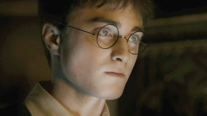 Il Mondo Magico Di Harry Potte