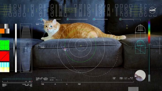 La NASA trasmette un video ad