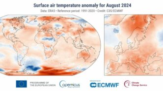 Lestate 2024 record di calor