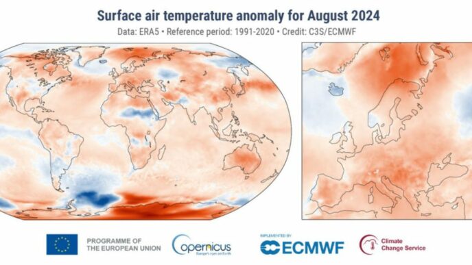 Lestate 2024 record di calor
