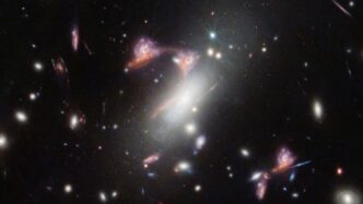 Rara scoperta astronomica All