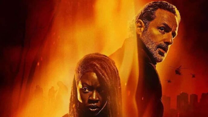 IL CINEMA COME PASSIONE UN VI 1