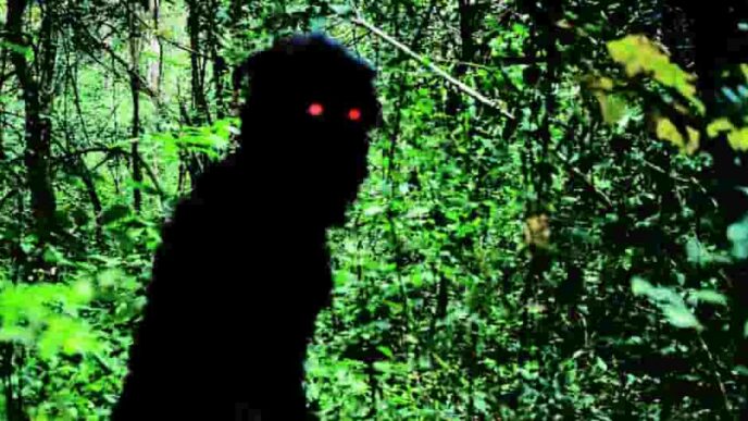 Lo Zio Boonmee che si ricorda