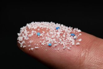 Microplastiche nel cervello um