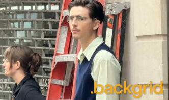 Timothee Chalamet Gwyneth Pal